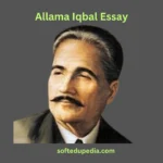 Allama Iqbal Essay