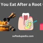 Can You Eat After a Root Canal? A Comprehensive Guide