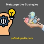 Metacognitive Strategies