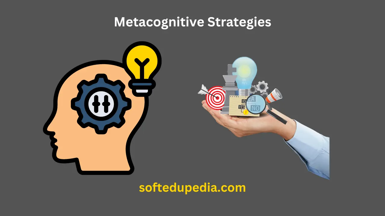 Metacognitive Strategies