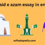 quaid e azam essay in english